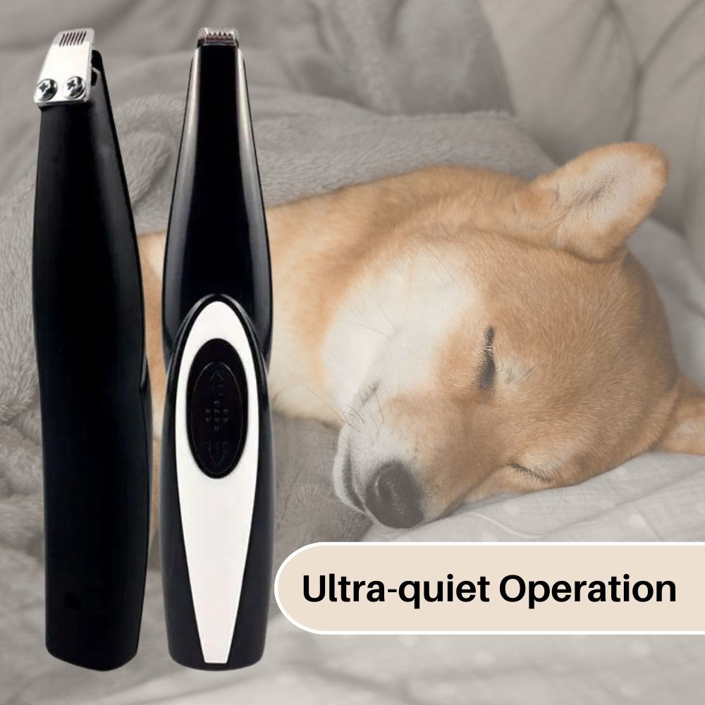 Tondeuse pour animaux de compagnie - Tondeuse de précision pour chiens et chats