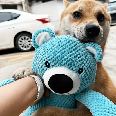 Jouets en peluche pour chiens - Doux et résistants aux morsures