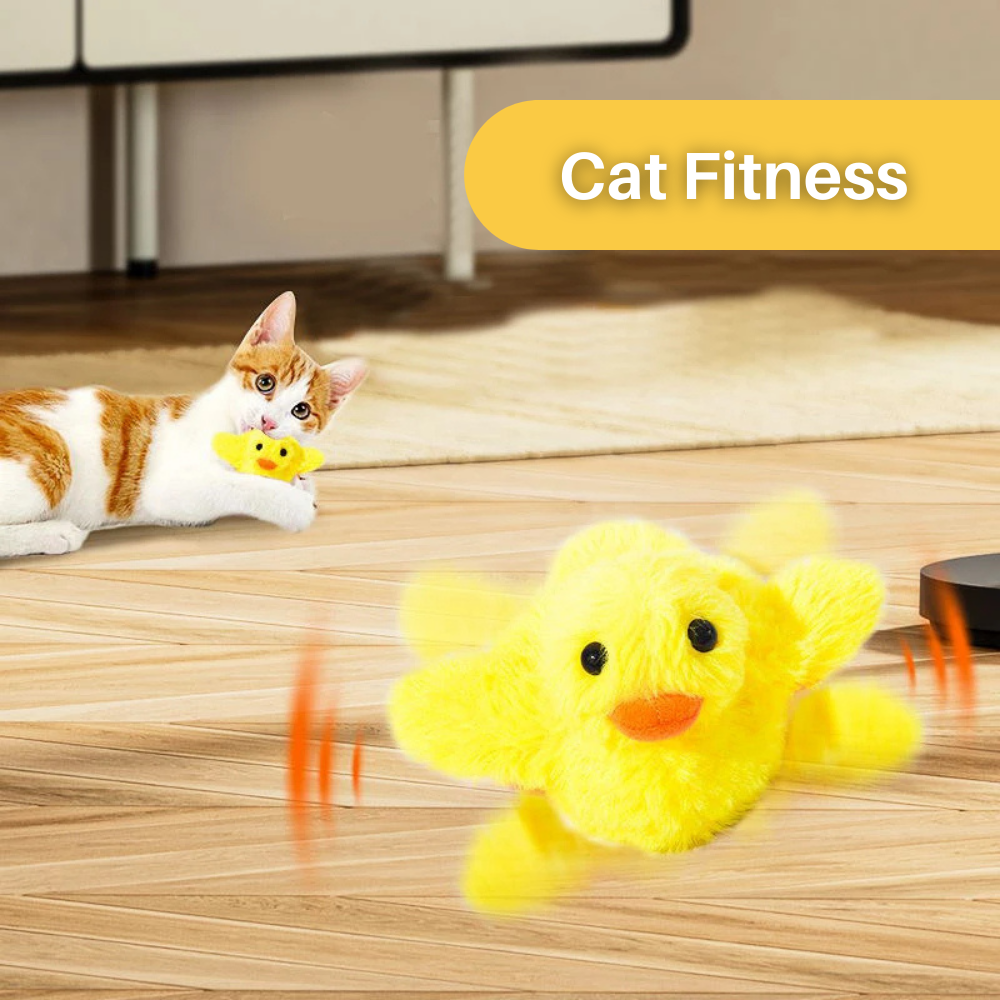 Jouet canard battant pour chats - Amusement garanti pour votre félin