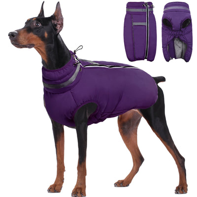 PawComfort - Manteau d'hiver réfléchissant pour chiens | Visibilité et confort