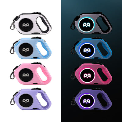 Laisse LED innovante pour chien – Automatique et sûre dans l'obscurité