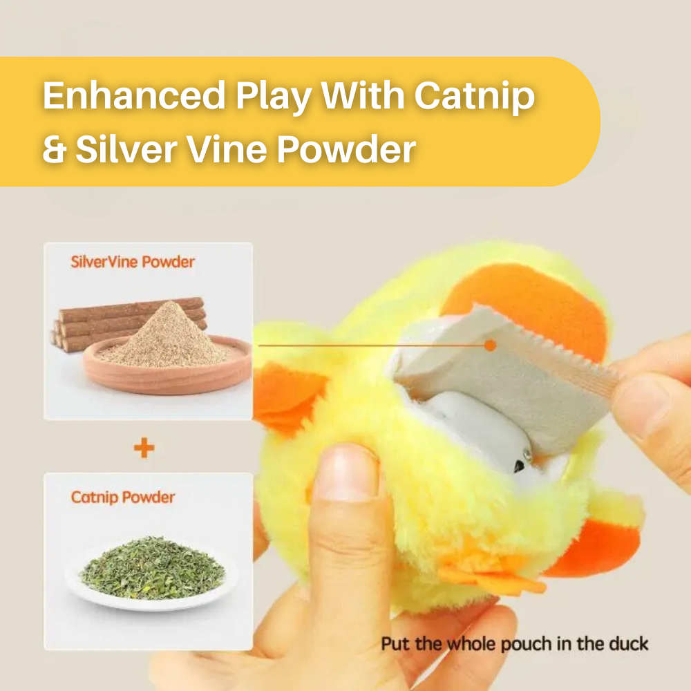 Jouet canard battant pour chats - Amusement garanti pour votre félin