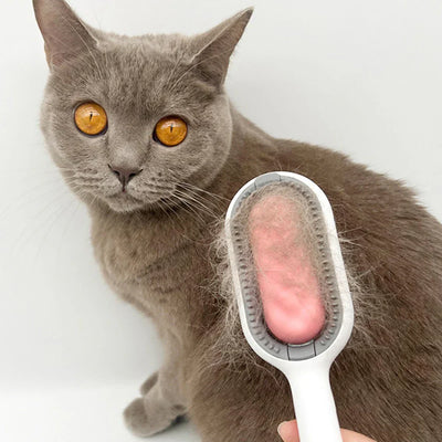 Épilateur avec stockage d'eau pour chats et chiens