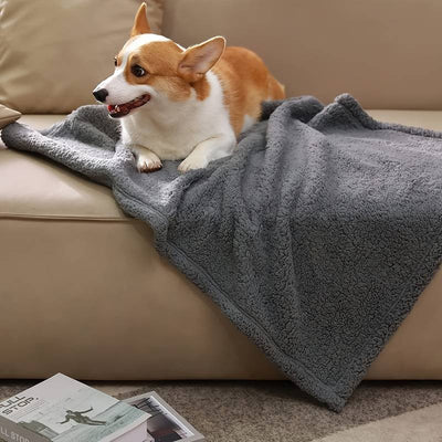 Couverture en polaire pour animaux - Chaleur et confort