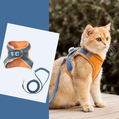 Ensemble harnais et laisse pour chats - Sécurité et protection