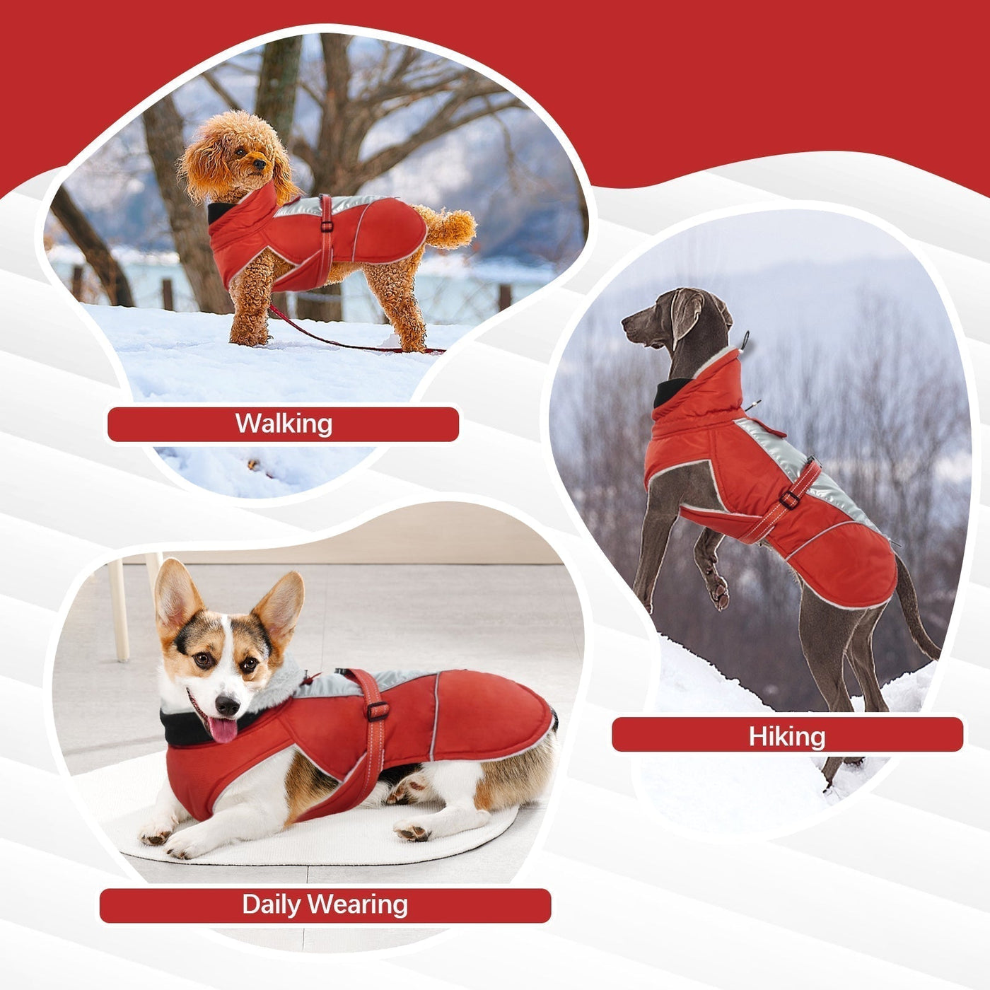 PawComfort - Gilet réfléchissant pour chien pour l'hiver | Sûr et chaleureux