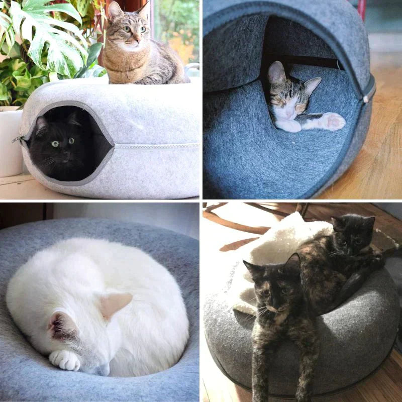 Lit et maison de jeu pour chats - Confort et divertissement