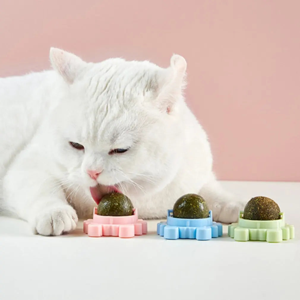 Balle à l'herbe à chat - Pour un plaisir de jeu supplémentaire