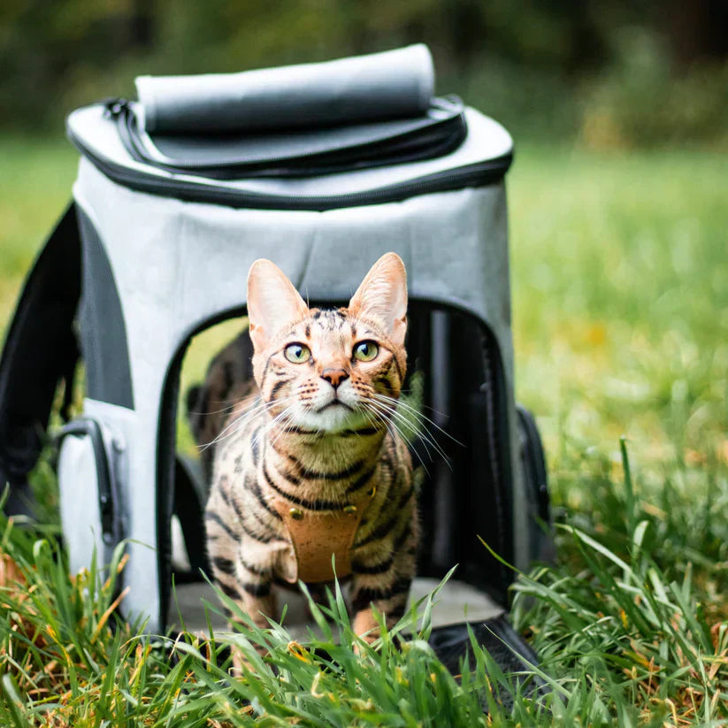 Sac à dos pour chats - Idéal pour les balades aventureuses avec votre félin