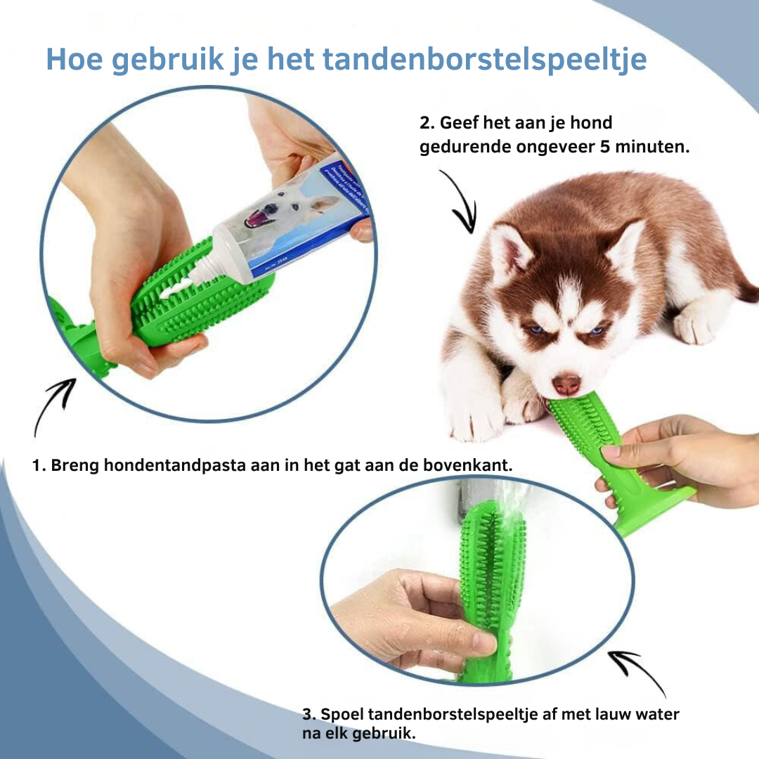 Jouet brosse à dents pour chiens - Soin dentaire et plaisir ludique