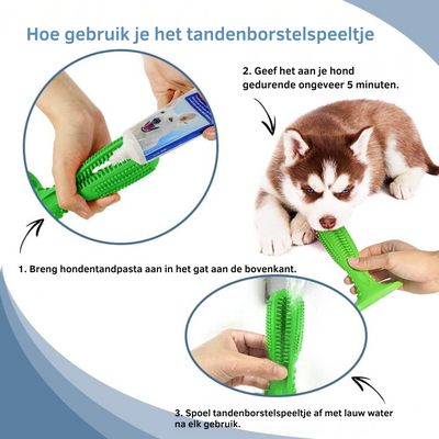 Jouet brosse à dents pour chiens - Soin dentaire et plaisir ludique