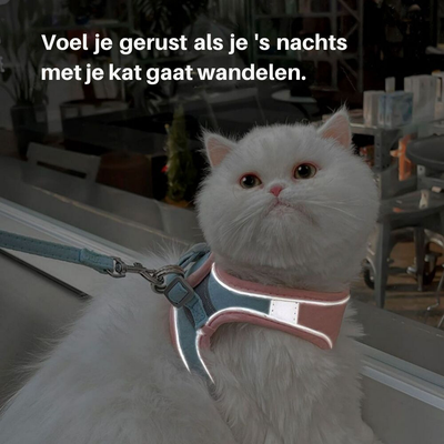 Ensemble harnais et laisse pour chats - Sécurité et protection