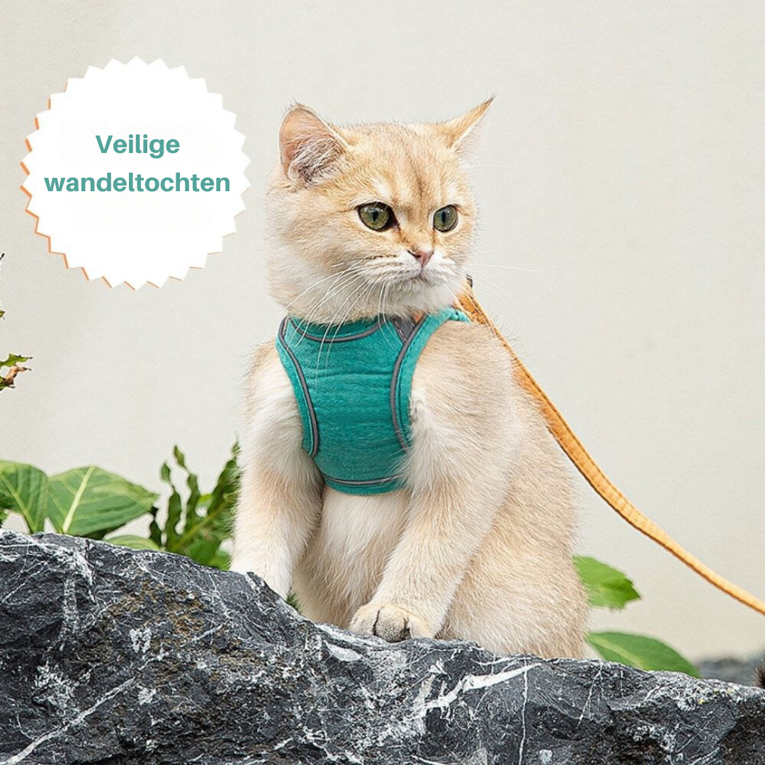 Ensemble harnais et laisse pour chats - Sécurité et protection