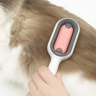 Épilateur avec stockage d'eau pour chats et chiens