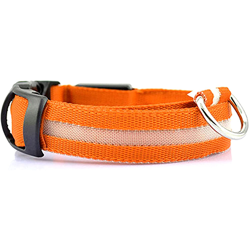 Collier lumineux - Sécurité pour chiens dans le noir