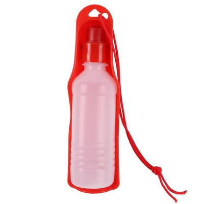 Gourde portable pour chiens – Hydratation en déplacement