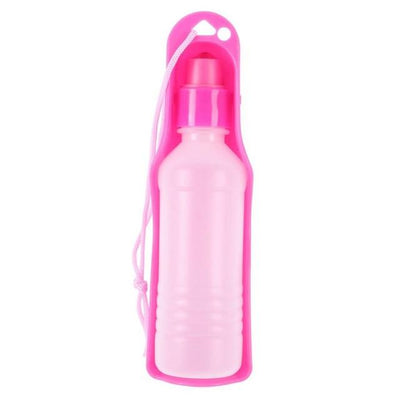 Gourde portable pour chiens – Hydratation en déplacement