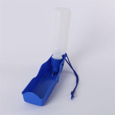 Gourde portable pour chiens – Hydratation en déplacement